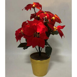 Artificial Led Red Poinsettia Plant In Gold Pot - Faux Realistic Floral Home Christmas Decoration With 10 Lights - H35 X 28Cm - thumbnail 7