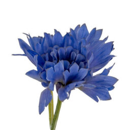 Hill Interiors Cornflower Artificial Plant Blue (One Size)