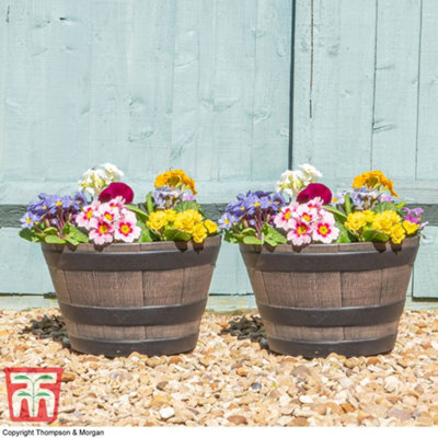 Garden Gear Vegetable Garden Wooden Effect Barrel Planter, Outdoor Or Indoor Half Whiskey Cask Flower Pot (X8 Small) - image 1