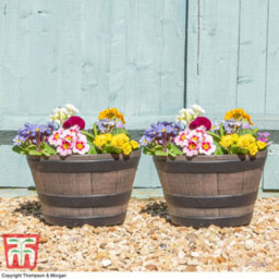 Garden Gear Vegetable Garden Wooden Effect Barrel Planter, Outdoor Or Indoor Half Whiskey Cask Flower Pot (X8 Small) - thumbnail 1