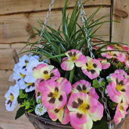 Best Artificial 14 Inch / 35Cm Pink & White Faux Pansy Flower With Rattan Wicker Hanging Basket For Indoor Or Outdoor Use - thumbnail 2