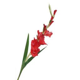 2 Pack Artificial Long - Stemmed Gladiolus Flowers For Home And Wedding And Office Decoration (Red) - thumbnail 2