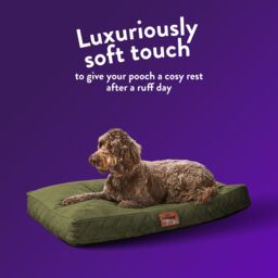 Slumberdown Green Fabric Dog Bed Replacement Cover (W)80Cm (D)70Cm Large - thumbnail 5