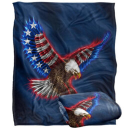 Jq Licensing James Piazza Silky American Flag Supersoft Blanket Multicoloured (One Size) - thumbnail 2