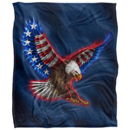 Jq Licensing James Piazza Silky American Flag Supersoft Blanket Multicoloured (One Size)