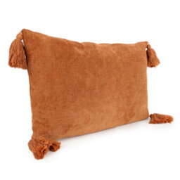 Madison & Mayfair Rectangular Terracotta Tassel Cushion - thumbnail 2