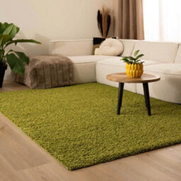 Uetian Green Rug Shaggy Rug Size 170X230 With 5Cm Pile Thickness For Living Room Sunrooms Hallways - thumbnail 8