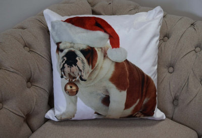 Rapport Home Bulldog Bouble Cushion Cover (43X43Cm) Multicolor