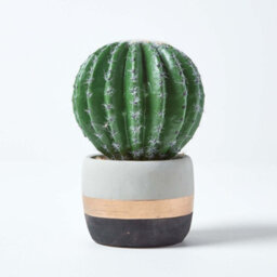 Homescapes Artificial Green Handcrafted Golden Barrel Cactus In Contemporary Stone Pot, 19 Cm