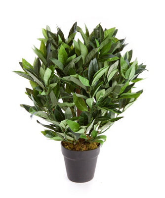 Best Artificial 2Ft/50Cm Dwarf Bay Tree Potted Laurel Plant For Outdoor Garden - image 1