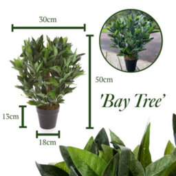 Best Artificial 2Ft/50Cm Dwarf Bay Tree Potted Laurel Plant For Outdoor Garden - thumbnail 8