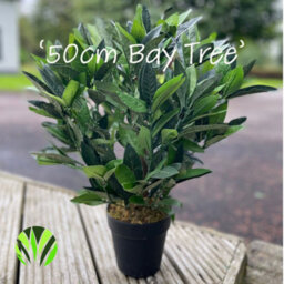 Best Artificial 2Ft/50Cm Dwarf Bay Tree Potted Laurel Plant For Outdoor Garden - thumbnail 3