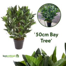 Best Artificial 2Ft/50Cm Dwarf Bay Tree Potted Laurel Plant For Outdoor Garden - thumbnail 2