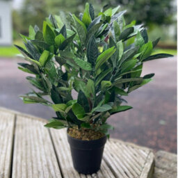 Best Artificial 2Ft/50Cm Dwarf Bay Tree Potted Laurel Plant For Outdoor Garden - thumbnail 5