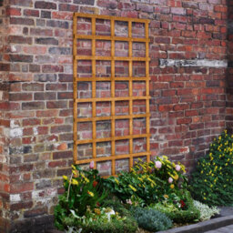 Forest Garden Heavy Duty Trellis - 183 X 91Cm - Pack Of 5 - thumbnail 1