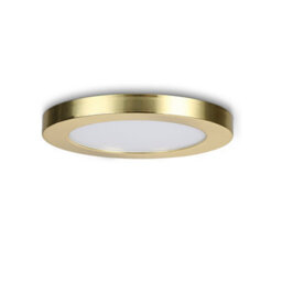 Plum&clay Gemini Gold Led Round Ceiling & Wall Light 3 Way Colour Changing 12W