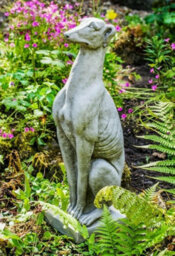 Single Whippet Dog Statue Garden Ornament Animal Statue - thumbnail 5
