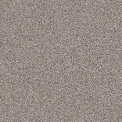 Furlong Flooring Carefree Twist Carpet (Autumn Morning, 2M X 4M) - image 1