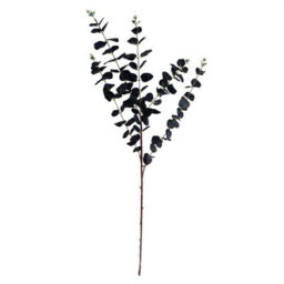 Leaf 80Cm Black Eucalyptus Foliage Stem - thumbnail 2