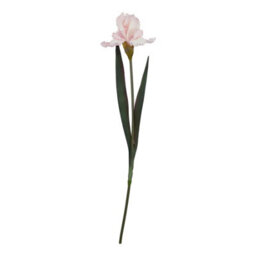 Hill Interiors The Natural Garden Collection Fringed Iris Artificial Flower Pale Pink (One Size) - thumbnail 1