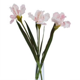Hill Interiors The Natural Garden Collection Fringed Iris Artificial Flower Pale Pink (One Size) - thumbnail 2