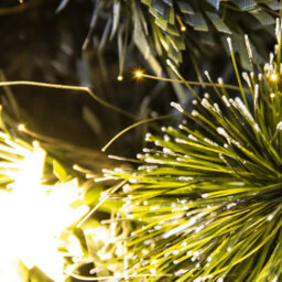 Christmas Tree World The 6Ft/180Cm Frosted Led Pine Fibre Optic Tree - thumbnail 5