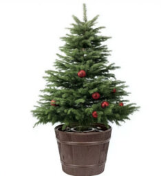 Round Planet Christmas Tree Stand With Water Reservoir Brown Large - thumbnail 8