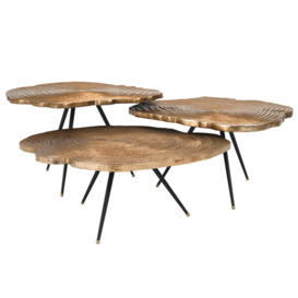 Eichholtz Quercus Coffee Table Brass Finish Set Of 3, Round, Gold Wood - Barker & Stonehouse - thumbnail 3