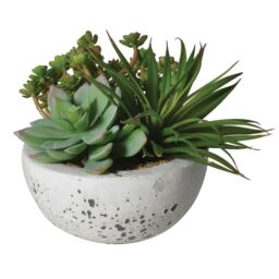Large Succulent Bowl Polyester - Barker & Stonehouse
