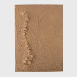 NATURAL TEXTURED WALL ART, Neutral Wood - Barker & Stonehouse