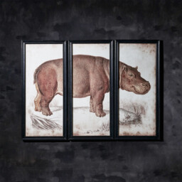 Timothy Oulton Animal Hippo Center Art Wood - Barker & Stonehouse - thumbnail 2