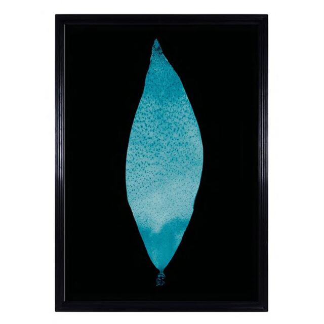 Timothy Oulton Sealife Blue Flat Art Wood - Barker & Stonehouse - image 1
