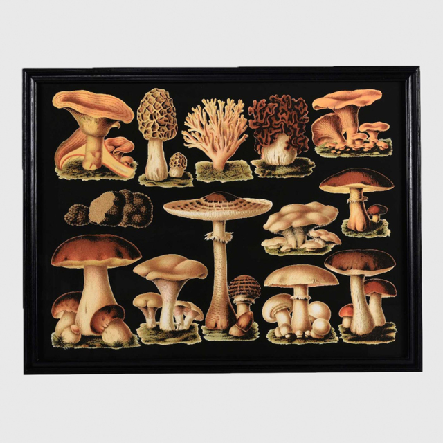 Timothy Oulton Mushroom Art Wood - Barker & Stonehouse - image 1