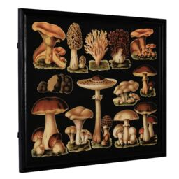 Timothy Oulton Mushroom Art Wood - Barker & Stonehouse - thumbnail 3
