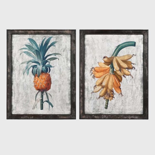 Set of 2 Botanical Framed Print, Square Wood - Barker & Stonehouse