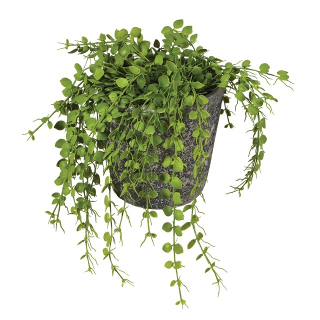 Potted Button Fern Polyester - Barker & Stonehouse - image 1