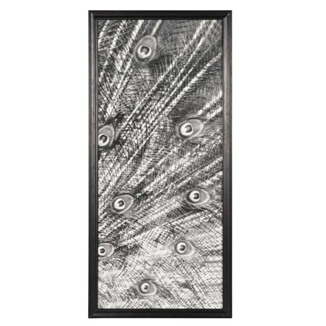 Timothy Oulton Animal Peacock Photo Bw Right Art Wood - Barker & Stonehouse - image 1