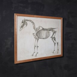Timothy Oulton Animal Horse Skeleton Art Wood - Barker & Stonehouse - thumbnail 2