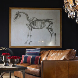 Timothy Oulton Animal Horse Skeleton Art Wood - Barker & Stonehouse - thumbnail 2