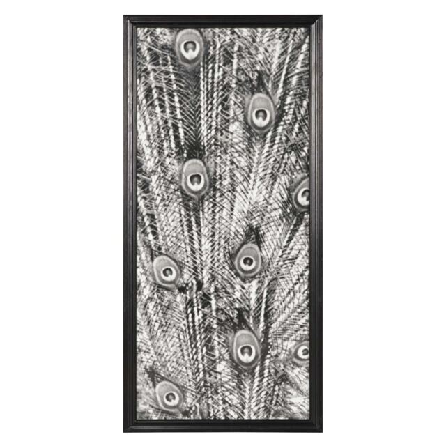 Timothy Oulton Animal Peacock Photo Bw Center Art Wood - Barker & Stonehouse - image 1