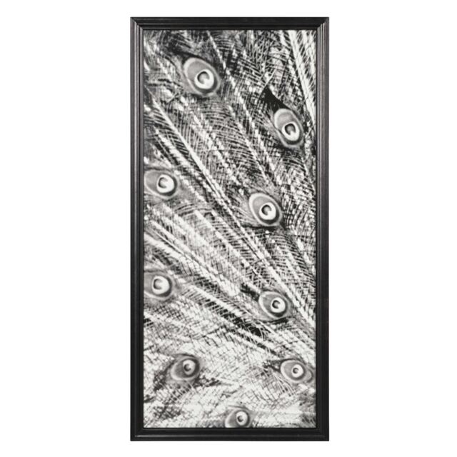 Timothy Oulton Animal Peacock Photo Bw Left Art Wood - Barker & Stonehouse - image 1