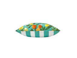 Evans Lichfield Orange Blossom 43 x 43cm Outdoor Cushion Polyester - thumbnail 2