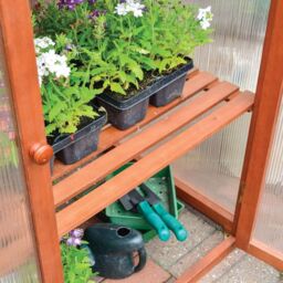Rowlinson Hardwood Mini Greenhouse - thumbnail 4
