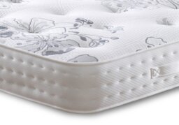Westminster Windsor Orthopaedic Divan-Platform Top-No Drawers-Small Single (2'6) - thumbnail 5