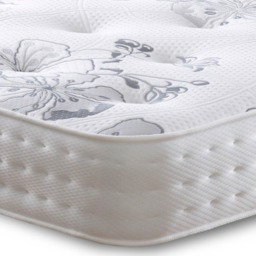 Westminster Windsor Orthopaedic Divan-Platform Top-No Drawers-Small Single (2'6) - thumbnail 1