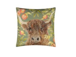 Evans Lichfield Grove Highland Cow 43 x 43cm Outdoor Cushion  Polyester - thumbnail 2