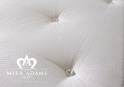 Myer Adams Divine Ortho Divan -Single-No Drawers - thumbnail 3