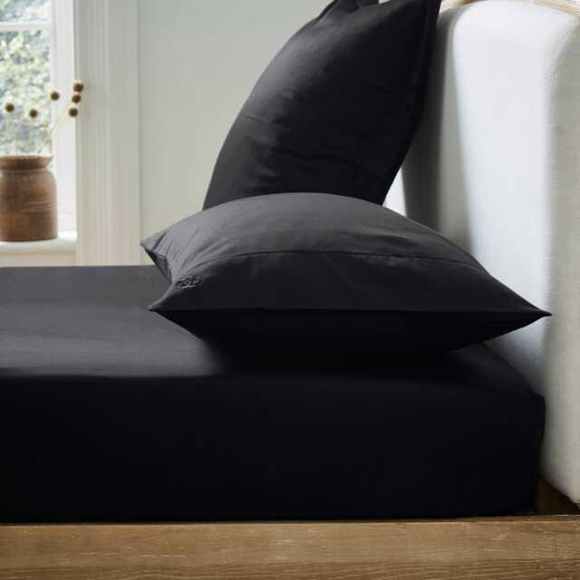 Ted Baker 250 Thread Count Plain Dye Single Fitted Sheet, Black