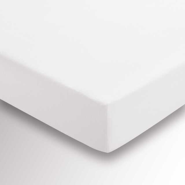Helena Springfield Brushed Cotton Super Kingsize Fitted Sheet, White - image 1