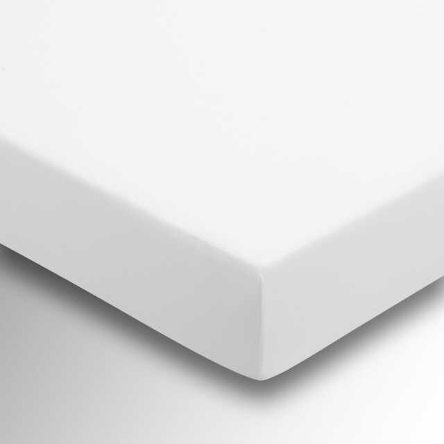Helena Springfield 50/50 Percale Single Fitted Sheet, White